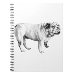 soft gaze note, bulldog notebook