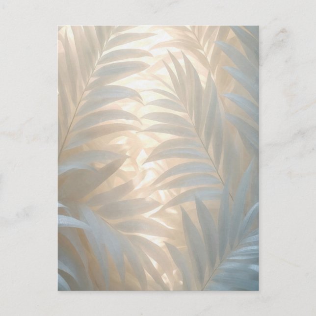 Soft gold of white tropics, pastel palm leaves postcard (Front)