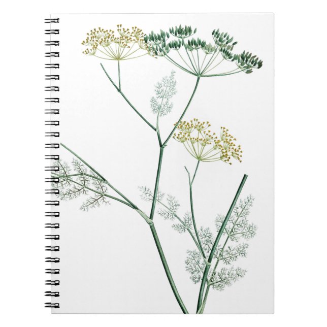 Soft Green Botanical IV Notebook (Front)