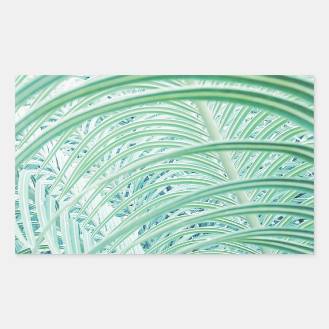 Soft Green Plant Palm Leaf Sticker (Front)