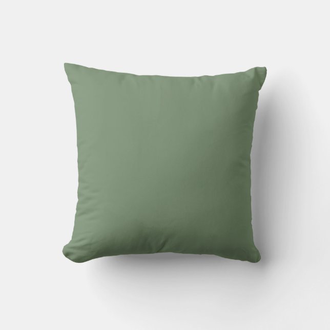 Soft Green Solid Color, Simple,Modern, Trendy Throw Pillow (Front)