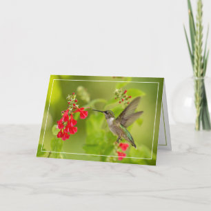 Soft Green Summer Card