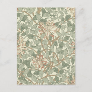 Soft Green Vintage William Morris Honeysuckle Postcard