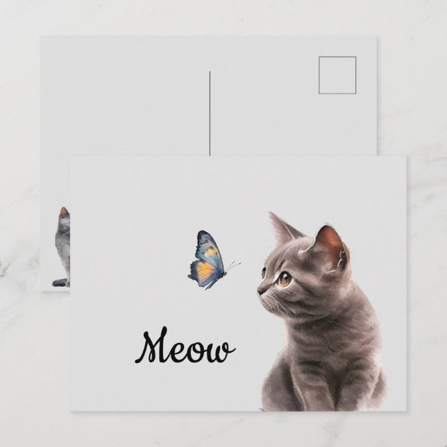 Soft Grey Meow Cat  Postcard (Front/Back)