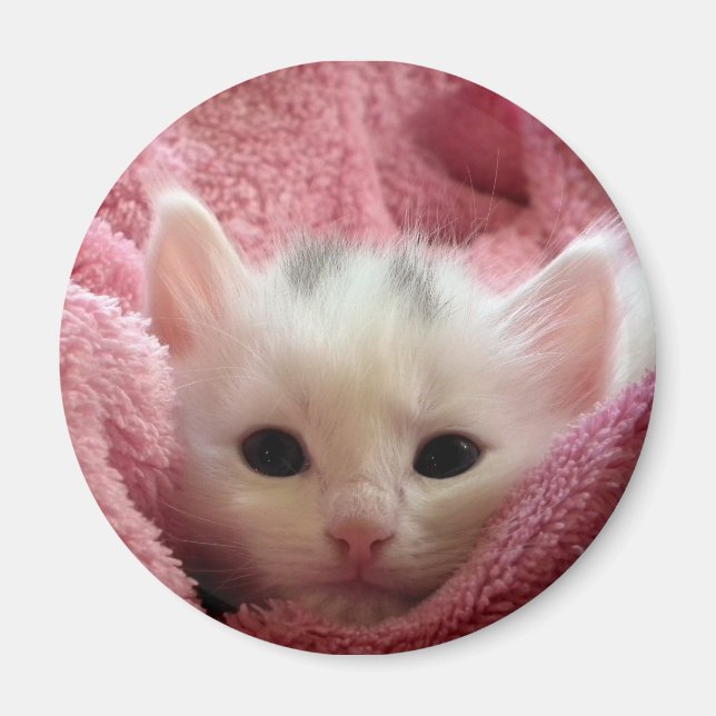 Soft Kitten Magnet (Front)