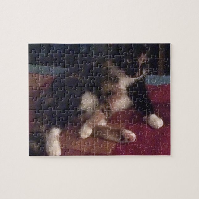 Soft Kitty Paws Jigsaw Puzzle (Horizontal)