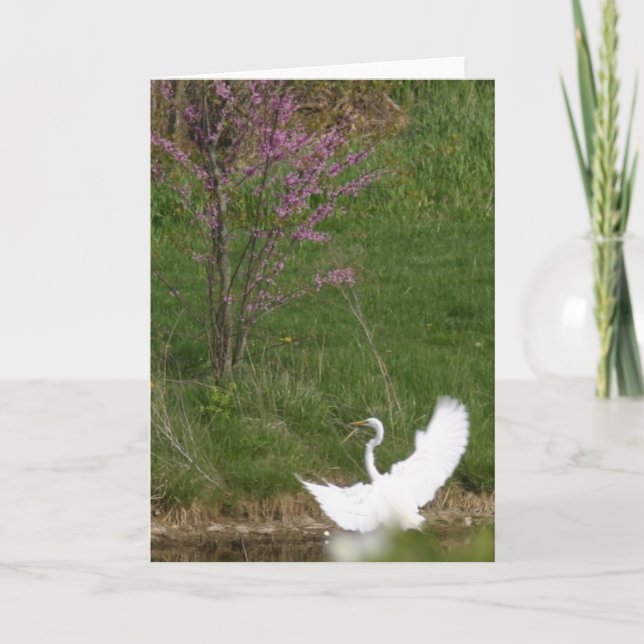 Soft landing card (Front)