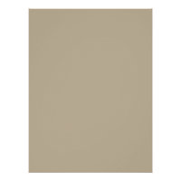 Soft Light Beige Background – Wedding Design