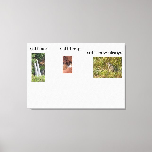 soft locking  canvas print (Front)