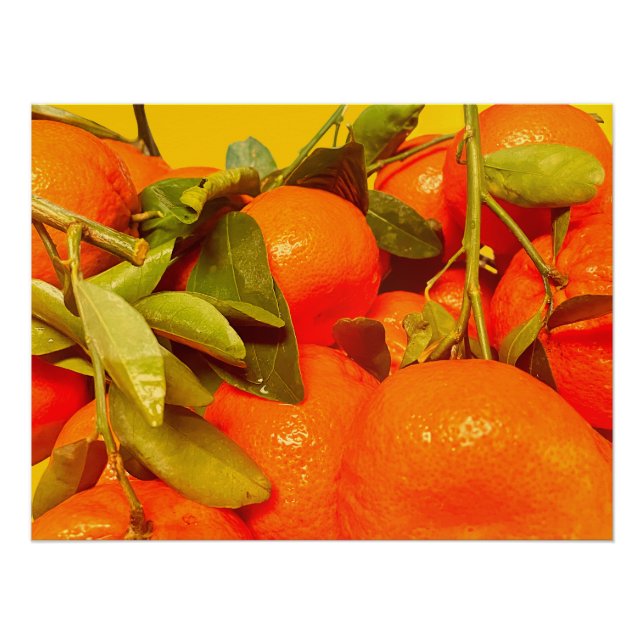 Soft Orange Fruit Aesthetic Poster (Front)