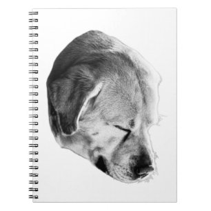 Soft Pages, Quiet Thoughts Notebook