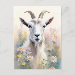 Soft Pastel Flower Field Goat Portrait Postcard