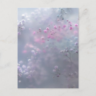 Soft pastel flowers in dreamy blur  postcard