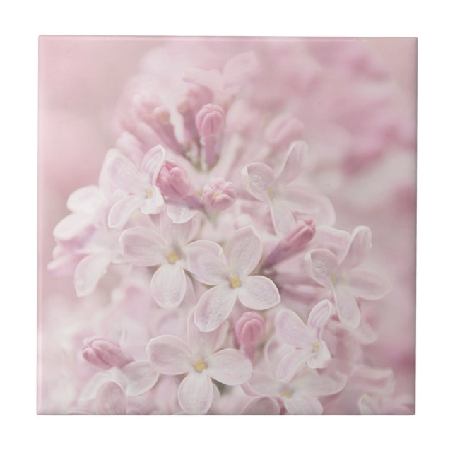Soft Pastel Pink French Lilacs Tile (Front)