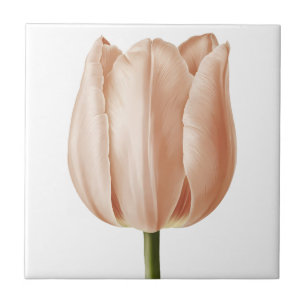 Soft Peach Tulip Botanical Art Design Tile