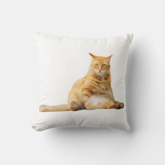 Soft pillow with a cute orange cat