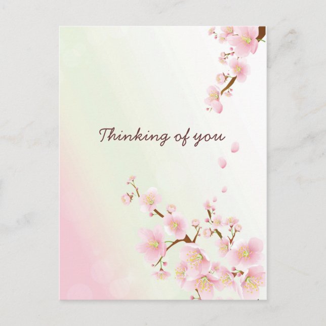 Soft Pink And White Cherry Blossom Postcard (Front)