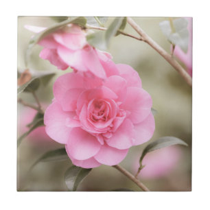 Soft Pink Camellia Flower  Tile