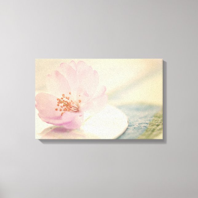 Soft Pink Cherry Blossom Flower Canvas Print (Front)
