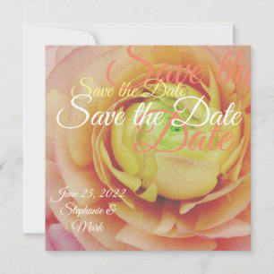 Soft Pink Floral Save the Date Cards 