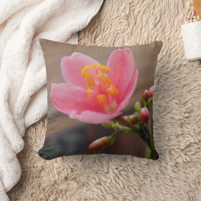 Soft Pink Jatropha Flower Throw Pillow (Blanket)