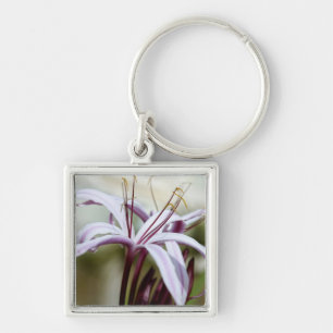 Soft Pink Lily Flower Botanical Photo Art Keychain