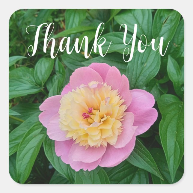 Soft Pink Pastel Peony Flower Thank You  Square Sticker (Front)