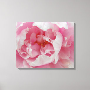 Soft Pink Peony Elegant Photo sur toile