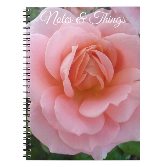 Soft Pink Rose Floral Notebook (Front)