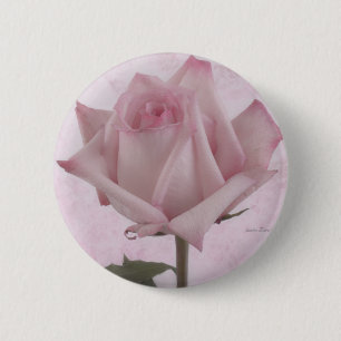 Soft Pink Rose Flower 2 Inch Round Button