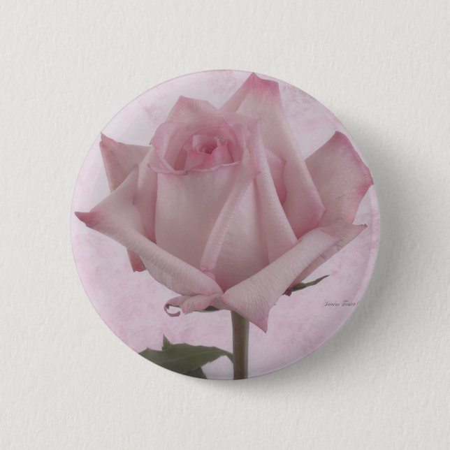 Soft Pink Rose Flower 2 Inch Round Button (Front)