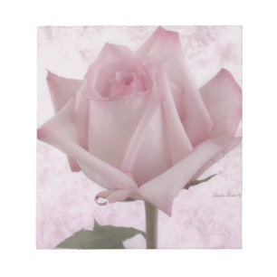 Soft Pink Rose Flower Notepad