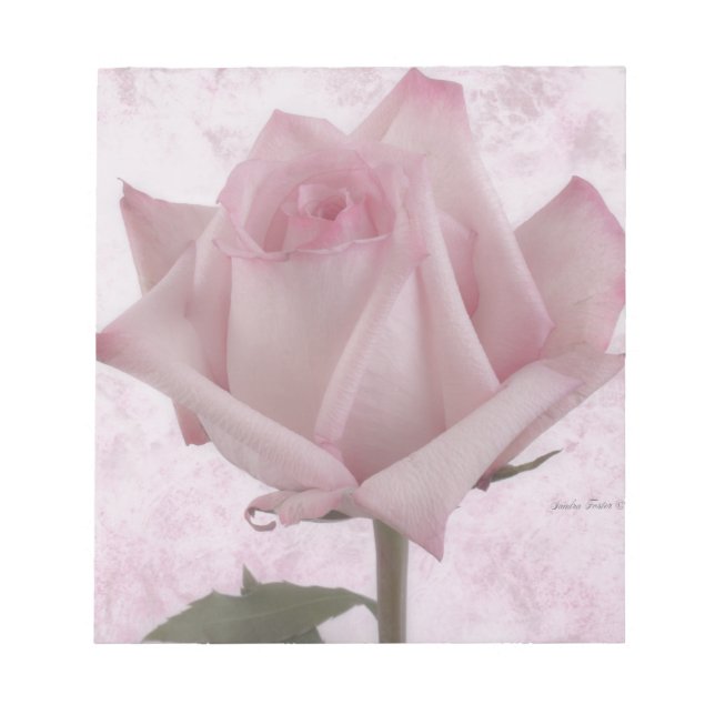 Soft Pink Rose Flower Notepad (Front)
