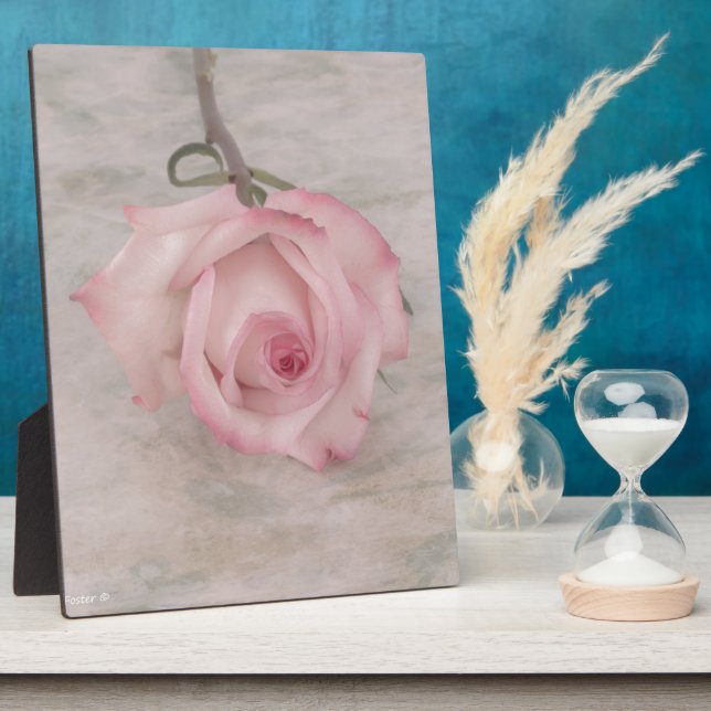 Soft Pink Rose Flower Plaque (Side)