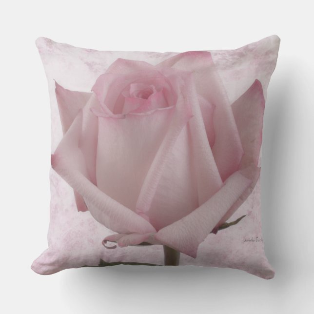 Soft Pink Rose Flower Throw Pillow (Front)