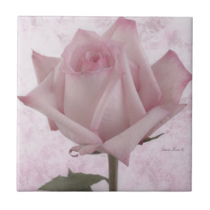 Soft Pink Rose Flower Tile