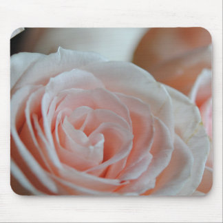 soft pink Rose Mouse Pad