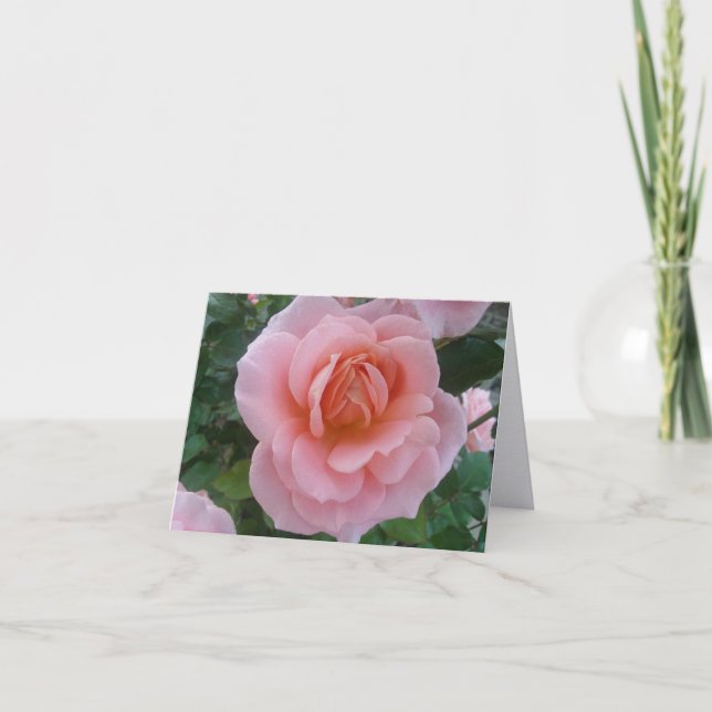 Soft Pink Rose Romantic Folded Note Cards (Front)