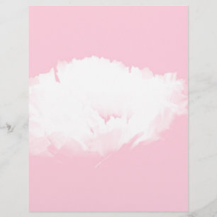 Soft Pink White Peony - Floral
