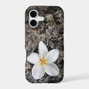 Soft Plumeria