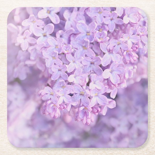 Soft Purple French Lilacs Square Paper Coaster (Front)