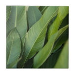 Soft ropical Green Leaves Botanical Tile<br><div class="desc">Bring a sense of calm nature indoors with this soft tropical leaf photography tile. Fresh green leaves in soft focus create a peaceful botanical aesthetic. Perfect for spa-style bathrooms,  plant-inspired interiors,  kitchens,  or nature-themed home decor.

My authentic art photo,  taken in Martinique,  2026.</div>