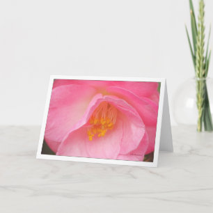 Soft rose camelia card