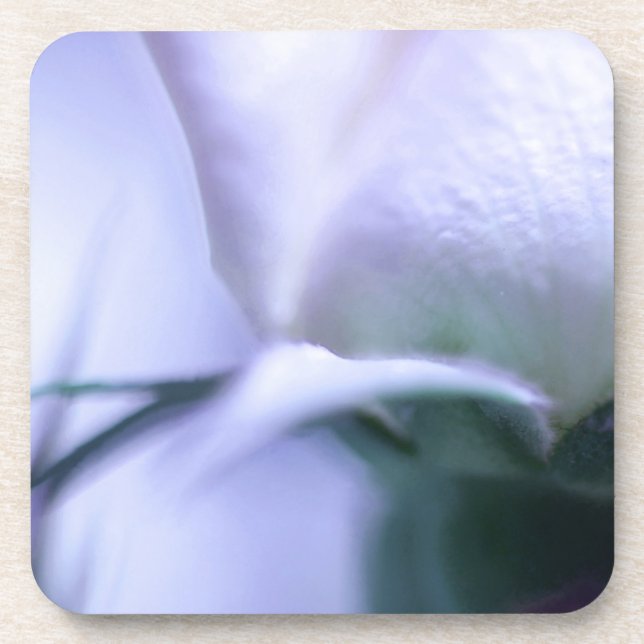 Soft Rose Hard Plastic Coaster (Front)