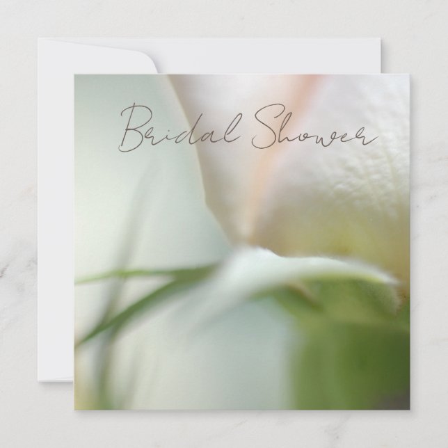 Soft Rose Invitation (Front)