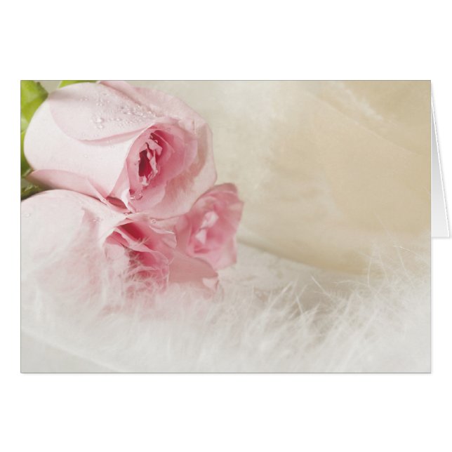 Soft roses and feathers (Front Horizontal)