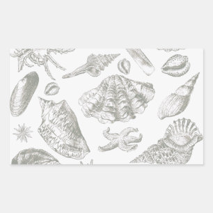 Soft Sage Grey Seashell Sketch Antique Nature Sticker