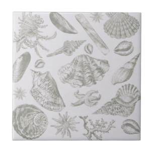 Soft Sage Grey Seashell Sketch Antique Nature Tile