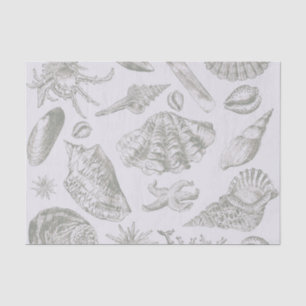 Soft Sage Grey Seashell Sketch Antique Nature Tissue Paper