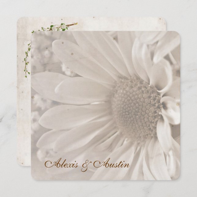 Soft Sepia Wedding Daisy Invitation (Front/Back)